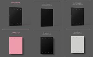 YG PLUS BLACKPINK - BORN PINK [BOX SET ver.] 2nd Album+Folded Poster (PINK ver.)