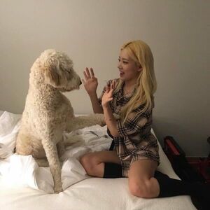 Photo : Loona- Kim lip