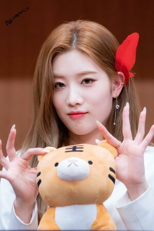 Photo : Kim Lip
