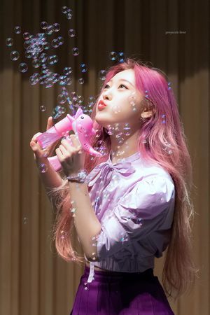 Photo : Happy Choerry Day!