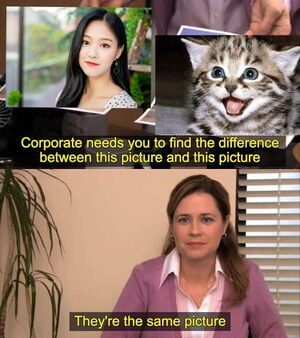 Photo : "Hyujin seems to believe that she actually is a cat" Go won