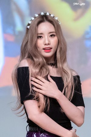 Photo : Happy Jiwon Day!