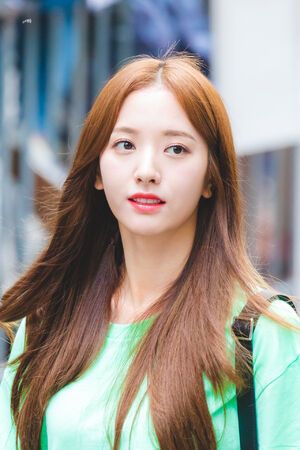 Photo : Bona