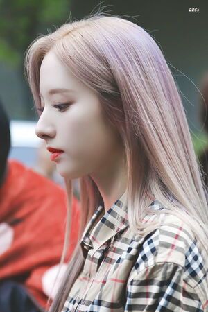 Photo : Bona