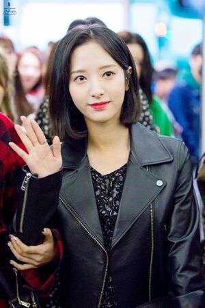 Photo : Bona