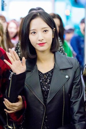 Photo : Bona