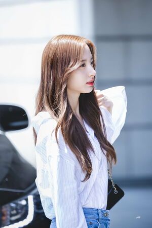 Photo : Bona