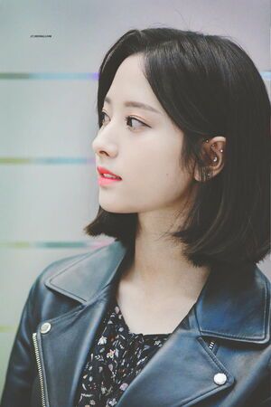 Photo : Bona