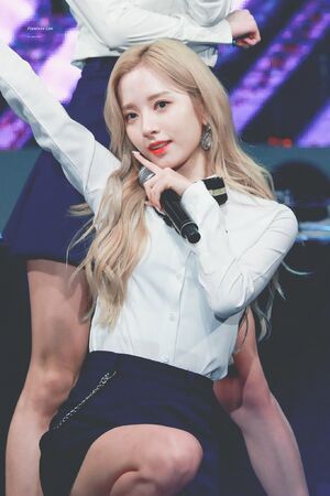 Photo : Bona