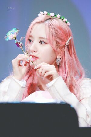 Photo : Bona