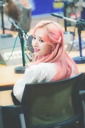 Photo : Bona