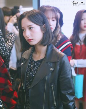 Photo : Bona