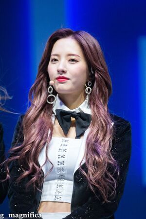 Photo : Bona