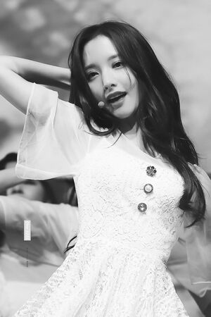 Photo : Bona