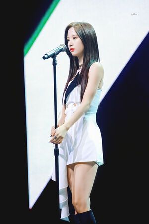 Photo : Bona