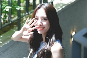 Photo : Bona