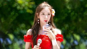 Photo : Bona