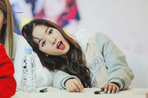 Photo : Surprised Bona