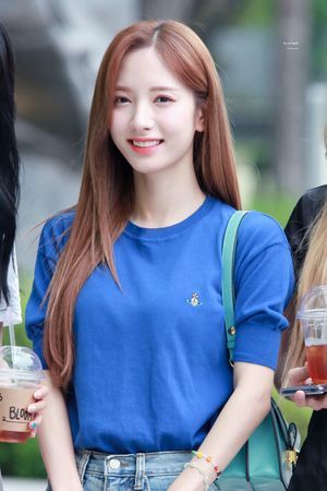 Photo : Bona