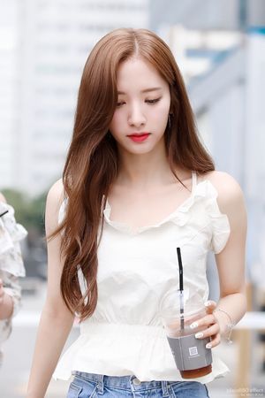 Photo : Bona