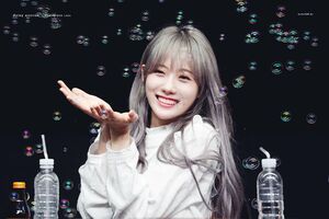 Photo : Luda