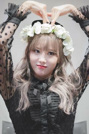Photo : Luda