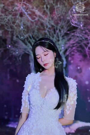 Photo : Dreamcatcher - Jiu