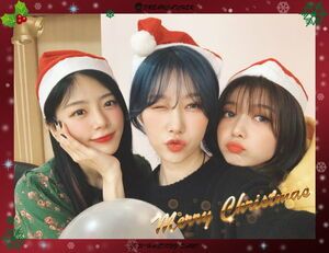 Photo : JiU, Handong and Dami