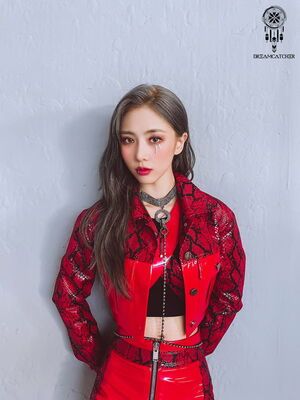 Photo : Yoohyeon