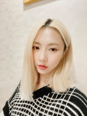 Photo : Yoohyeon