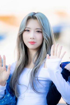 Photo : Yoohyeon