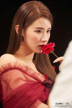 Photo : Miyeon