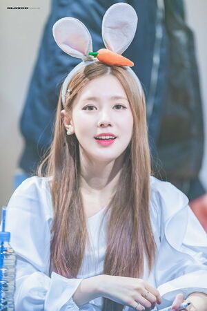 Photo : Miyeon