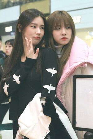 Photo : 191125 - Miyeon & Yuqi