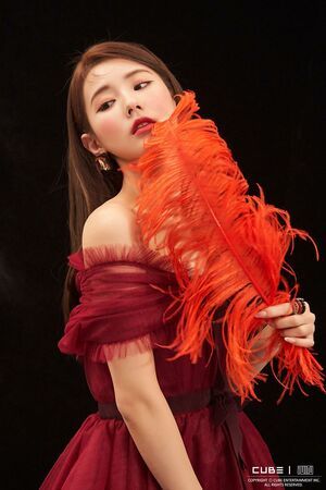 Photo : Miyeon