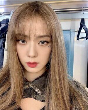 Photo : Jisoo - BLACKPINK