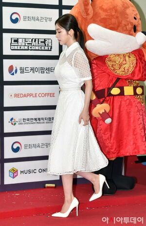 Photo : Irene atDream Concert 2022