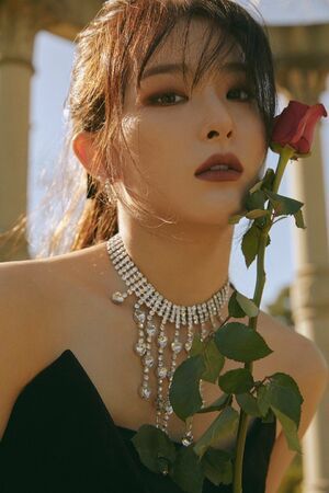 Photo : Seulgi
