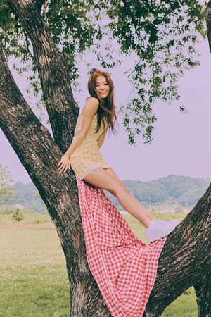 Photo : Seulgi