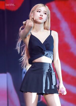 Photo : Rose