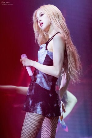 Photo : Rose