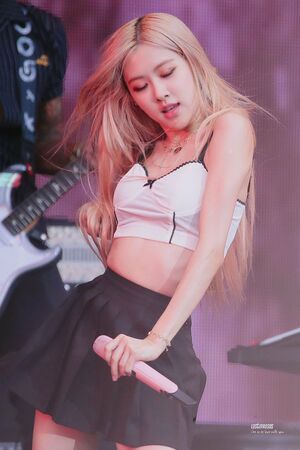 Photo : Rose