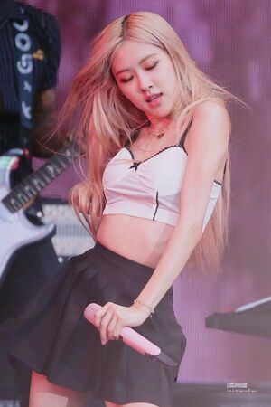 Photo : Rose