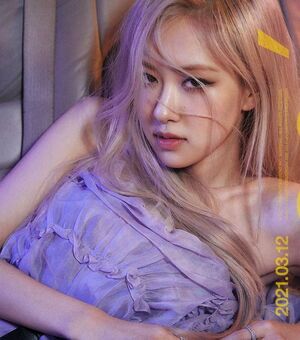 Photo : Rose
