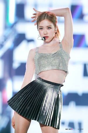 Photo : rose