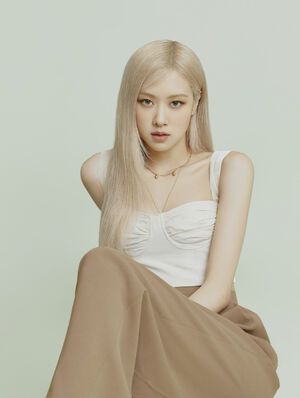 Photo : rose