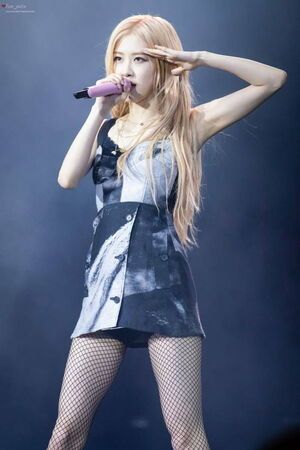 Photo : Rose