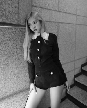 Photo : Rose