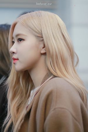 Photo : Rosé