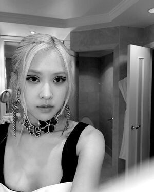 Photo : rose